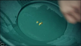 Gold Rush White Water - Season 06 Episode 14